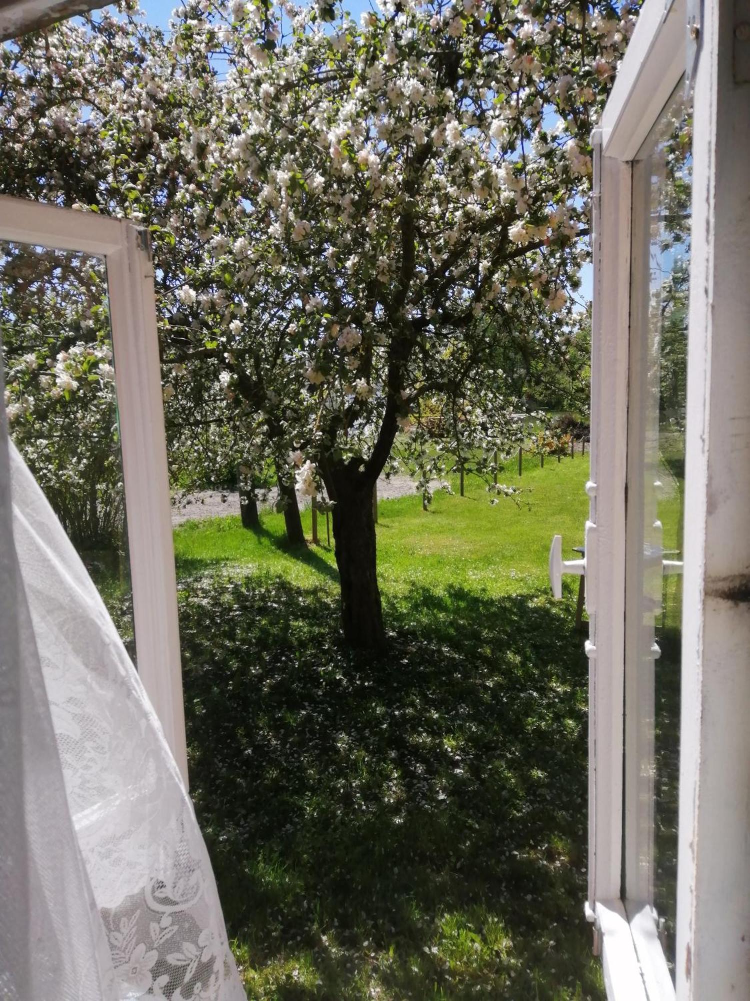 Searooms Lapmežciems Cameră foto